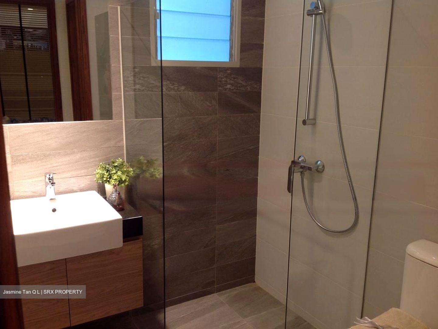Whitehaven (D5), Apartment #458850791